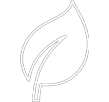 White lineart leaf icon